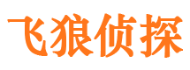 鸡冠飞狼私家侦探公司